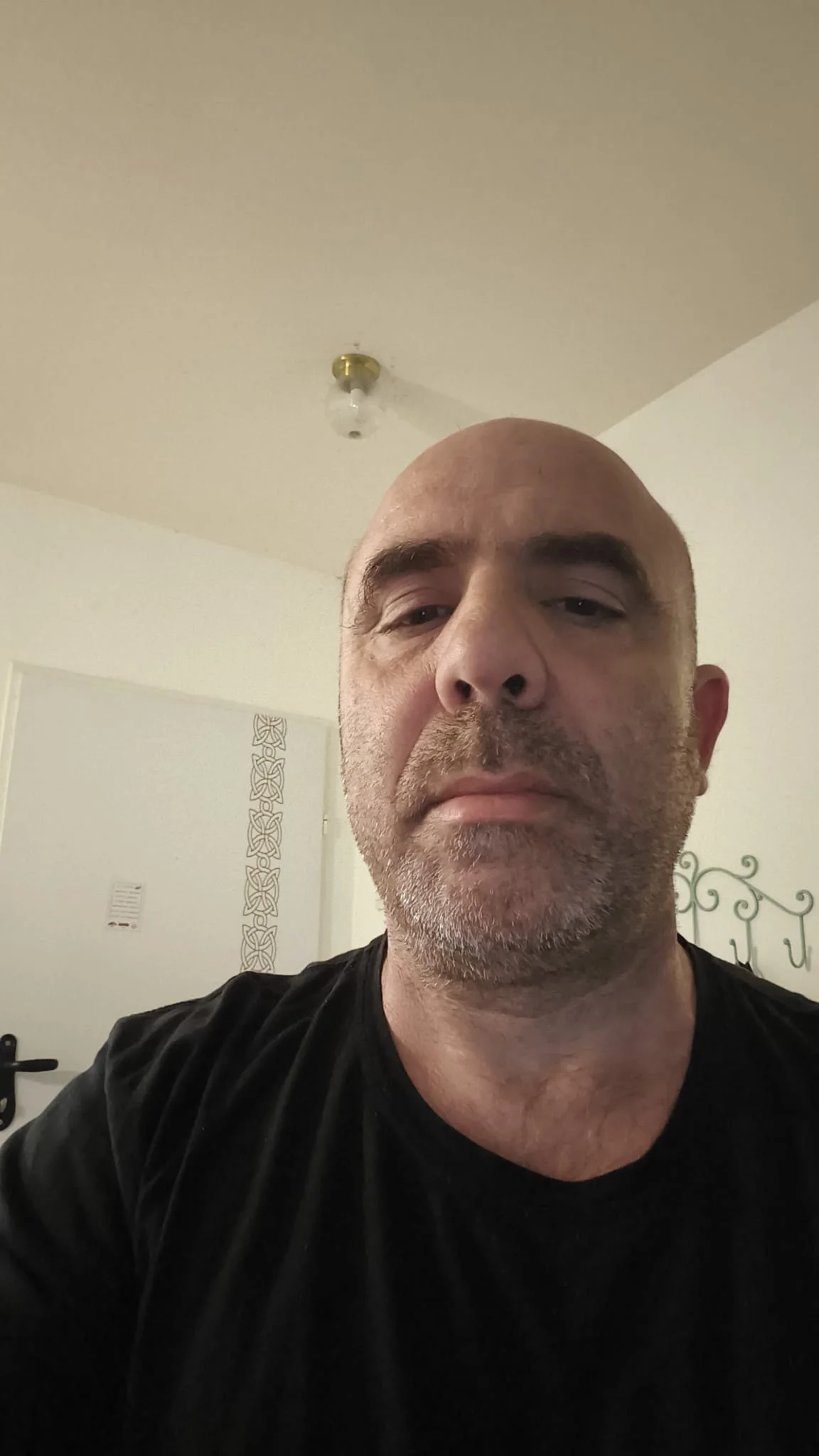 תומר מנקי מלווה